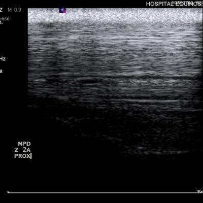 Diagnostico Imagen