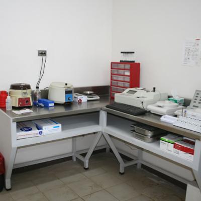 Laboratorio Nuevo