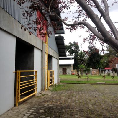 Cuadras