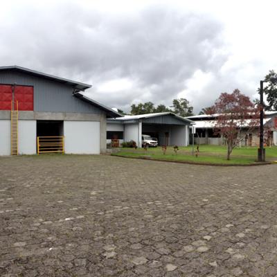 Cuadras Area Trote