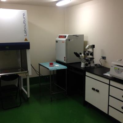 Lab Terapias Regenerativas 