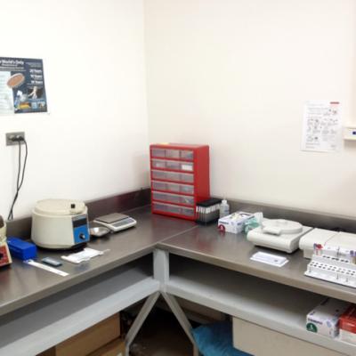 Laboratorio Clinico