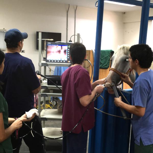 Medicina interna